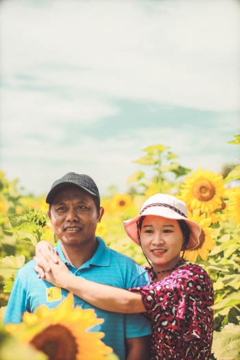 Asian Couple In A Field Of Sunflowers Asian Couple In A Field Of Sunflowers