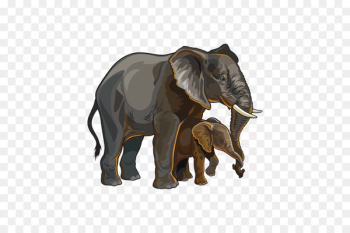 Asian elephant African elephant Vector graphics Royalty-free - elephant 