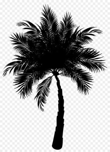 Asian palmyra palm Date palm Vector graphics Palm trees Clip art -  