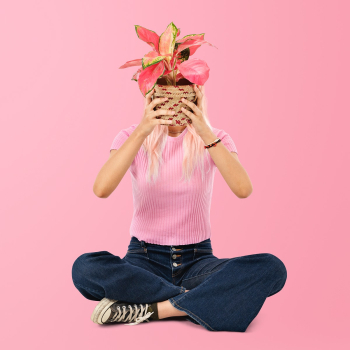 Asian woman holding potted aglaonema plant | Free stock photo | High Resolution image