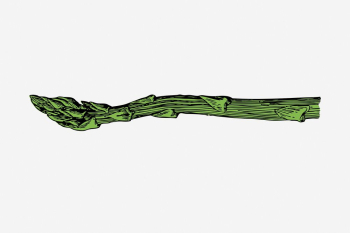 Asparagus clipart, vegetable vintage illustration. | Free Photo - rawpixel Asparagus clipart, vegetable vintage illustration. | Free Photo - rawpixel