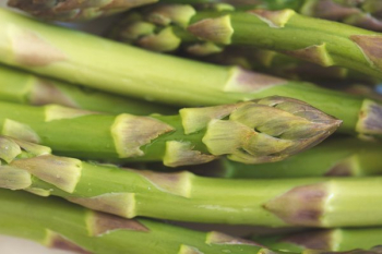 Asparagus Closeup Asparagus Closeup