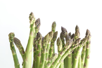 Asparagus On White Asparagus On White