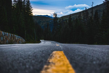 asphalt road between pine trees under cloudy blue sky asphalt road between pine trees under cloudy blue sky