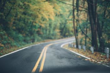 Asphalt Road Between Trees Asphalt Road Between Trees
