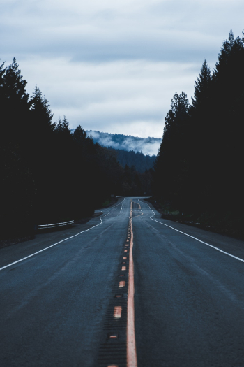 Asphalt Road Pathway Scenery Asphalt Road Pathway Scenery