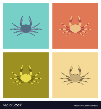 Assembly flat animal crab vector image