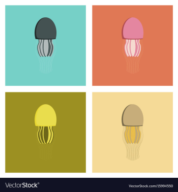 Assembly flat biology jellyfish vector image