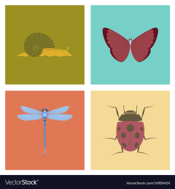 Assembly flat bug snail butterfly vector image Assembly flat bug snail butterfly vector image