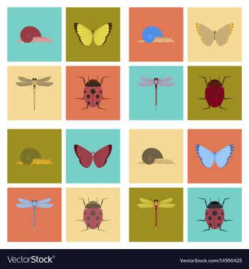 Assembly flat bug snail butterfly vector image Assembly flat bug snail butterfly vector image