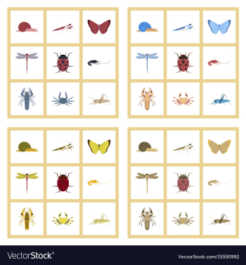 Assembly flat bug snail butterfly vector image Assembly flat bug snail butterfly vector image