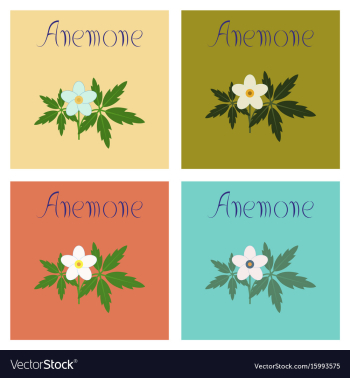 Assembly flat flower anemone vector image Assembly flat flower anemone vector image