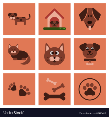 Assembly flat icons dog cats pets vector image Assembly flat icons dog cats pets vector image
