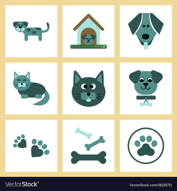 Assembly flat icons dog cats pets vector image Assembly flat icons dog cats pets vector image