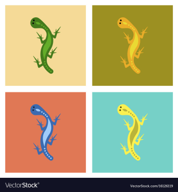 Assembly flat icons lizard reptile vector image Assembly flat icons lizard reptile vector image