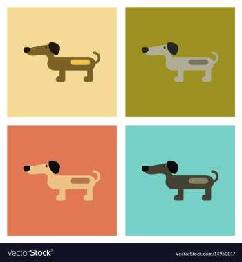 Assembly flat icons pet dog dachshund vector image Assembly flat icons pet dog dachshund vector image
