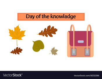 Assembly flat icons school bag leaves vector image Assembly flat icons school bag leaves vector image