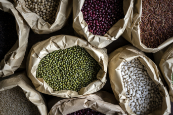 Assorted Beans in Brown Sacks Assorted Beans in Brown Sacks