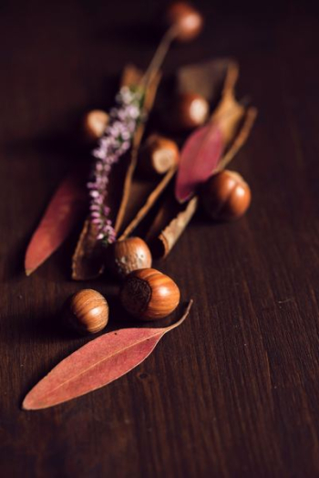 assorted brown nut of surface assorted brown nut of surface