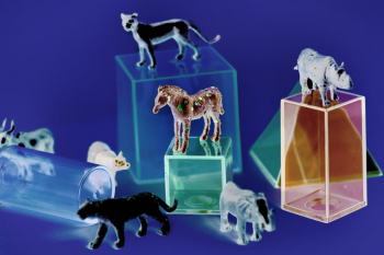 Assorted-color Animal Illustrations Assorted-color Animal Illustrations