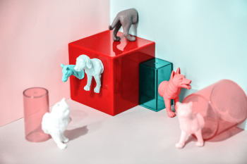 Assorted-color Animal Toys Assorted-color Animal Toys