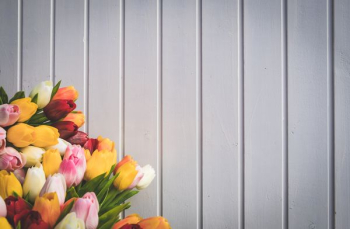 assorted-color flower arrangement near wall assorted-color flower arrangement near wall