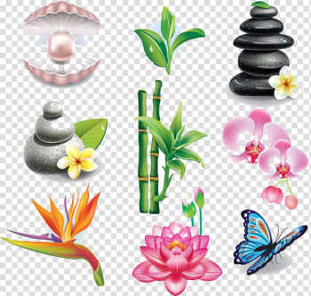 Assorted-color flowers and stones illustrations, Spa Beauty Parlour Massage Symbol, SPA health transparent background PNG clipart