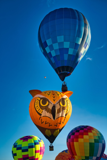 Assorted-color Hot Air Balloons Assorted-color Hot Air Balloons