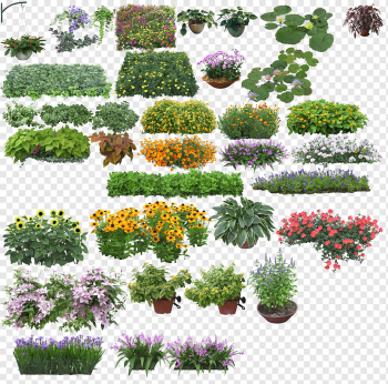 assorted-color plants illustration, Rendering, Creative Flower, landscape, grass, annual Plant png