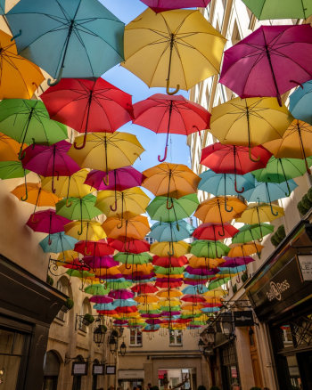 Assorted Colour Umbrellas Assorted Colour Umbrellas