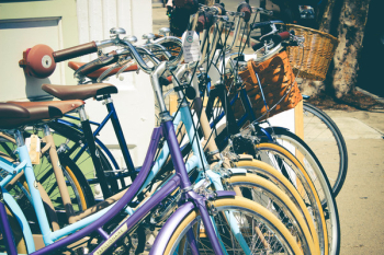 Assorted Cruiser Bicycles Assorted Cruiser Bicycles