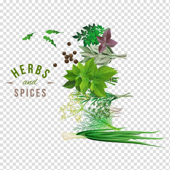 Assorted green herbs and spices , Herb Spice Vegetable, Fresh herbs and spices design material transparent background PNG clipart