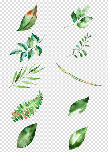 Assorted leaves painting, Leaf Watercolor painting, leaf transparent background PNG clipart