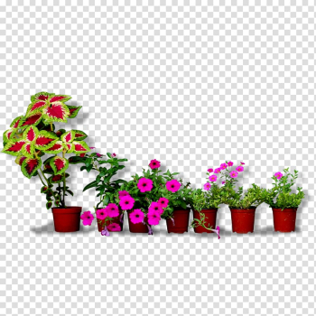 Assorted plants in brown plastic pot, Flowerpot Floral design Bonsai, Flower Pots transparent background PNG clipart