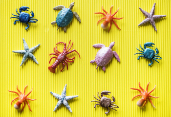 Assorted Underwater Animal Toys Assorted Underwater Animal Toys