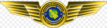 Astronaut badge Federal Aviation Administration Commercial astronaut - pilot 