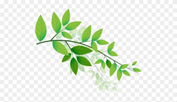 At Ayushakti, People Suffering From 10 Year Old Psoriasis, - Ayurvedic Leaf