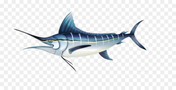 Atlantic blue marlin Royalty-free Illustration - Beautiful fish creative picture 