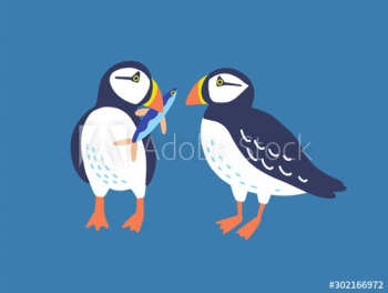 Atlantic puffins flat vector illustration Atlantic puffins flat vector illustration
