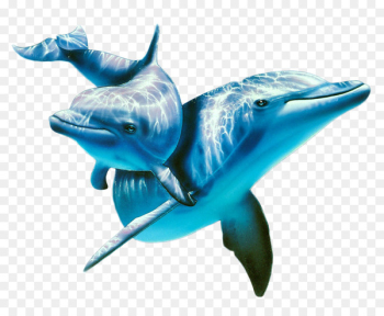 Atlantic spotted dolphin Painting Animal Wallpaper - dolphin 