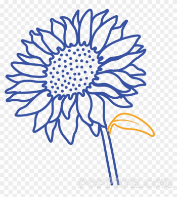 Attach A Leaf To It - Common Sunflower Attach A Leaf To It - Common Sunflower