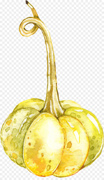 Auglis Fruit Pumpkin Cartoon - pumpkin Auglis Fruit Pumpkin Cartoon - pumpkin