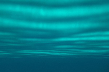 aurora borealis aurora borealis