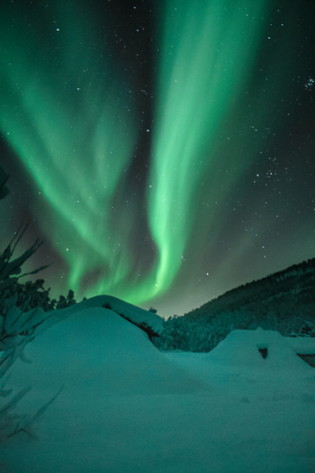 Aurora Borealis Aurora Borealis