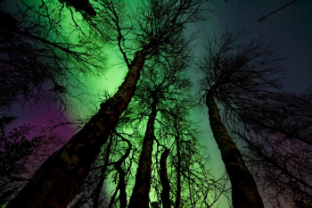 Aurora Borealis Aurora Borealis