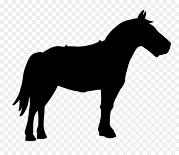 Australian Shepherd Horse German Shepherd Vector graphics Clip art -  
