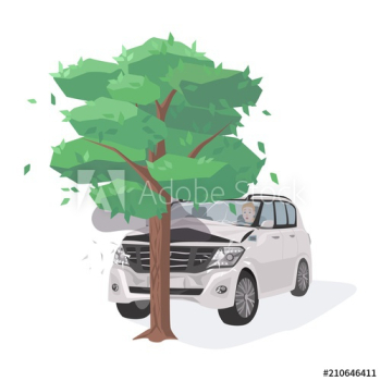 Automobile damaged by colliding with tree Automobile damaged by colliding with tree