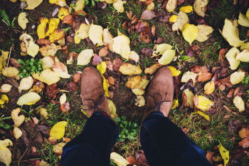 Autumn Autumn