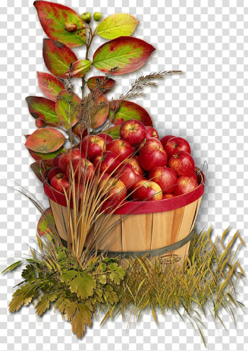 Autumn apple harvest transparent background PNG clipart