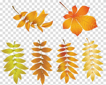 Autumn , autumn transparent background PNG clipart Autumn , autumn transparent background PNG clipart